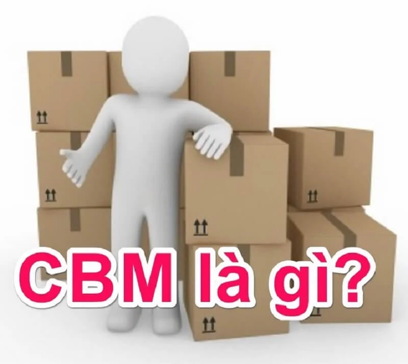 CBM là gì? Cách tính CBM
