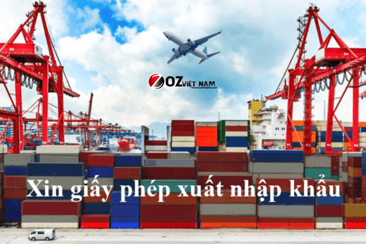 giấy phép xuất nhập khẩu