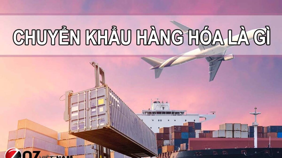 10. Tác Động của C/O Đối Với Các Doanh Nghiệp Xuất Nhập Khẩu