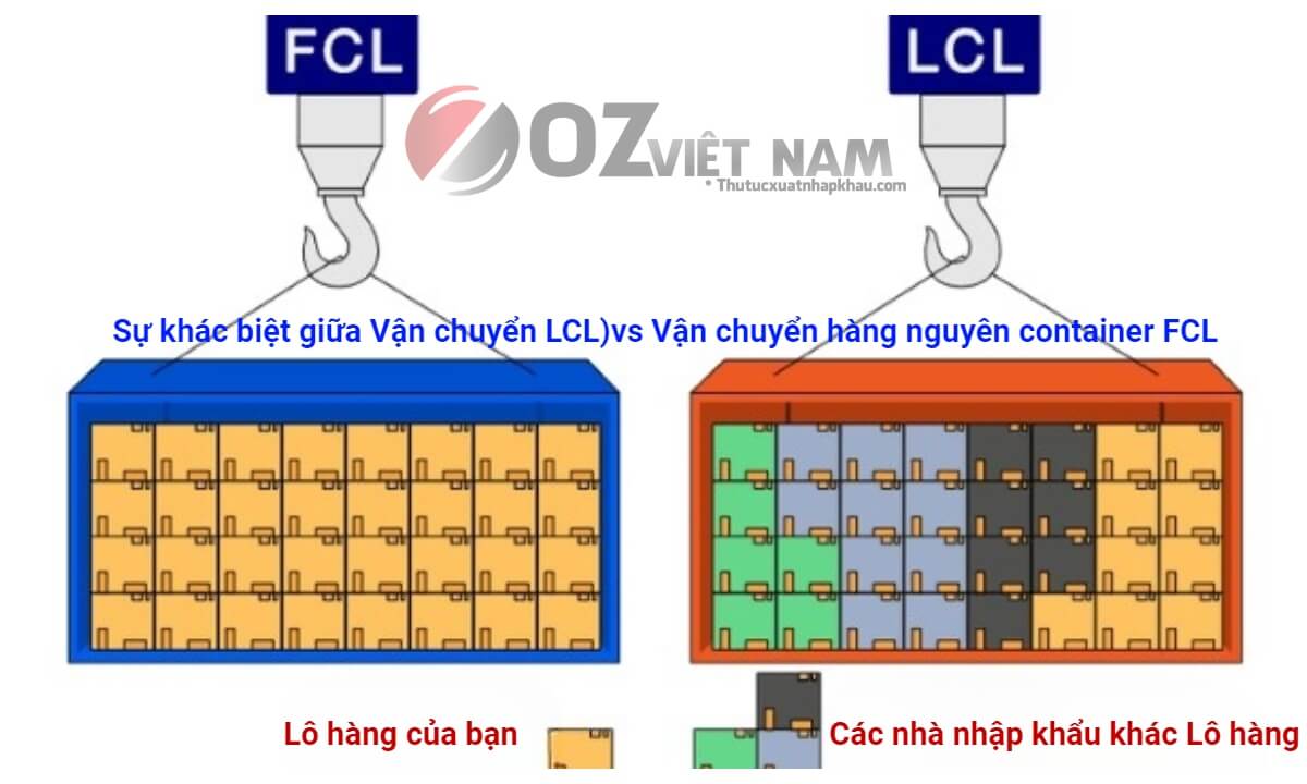 Điểm khác biệt giữa Hàng Lẻ (LCL) và Hàng Nguyên Cont (FCL)